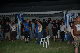 DSC_6917